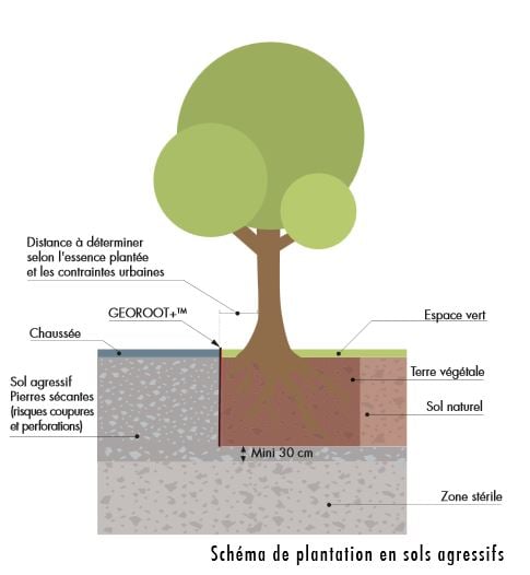 membrane anti-racine plantations agressives